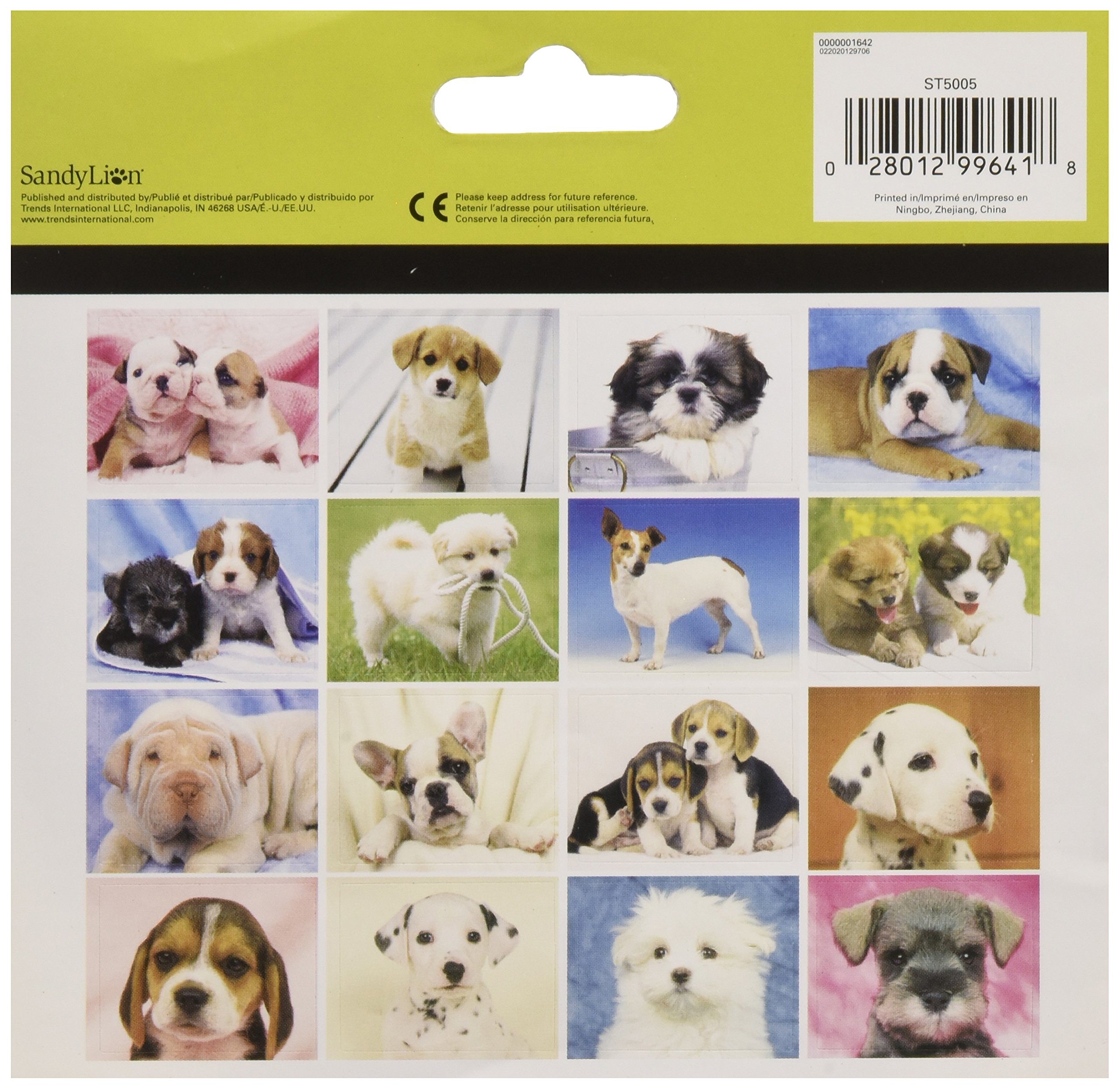 Amazon.com: SandyLion Puppies Mini Foldover