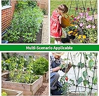 Vista 7 de Enrejado de pepino de jardín para plantas trepadoras al aire libre, marco A de 50 x 48 pulgadas, enrejado de pepino para cama elevada de jardín