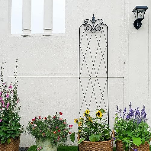 Miniatura 8 de SCENDOR Paquete de 2 enrejados de 71 pulgadas de alto x 15 pulgadas de ancho, enrejado negro para plantas trepadoras, marco de metal resistente para
