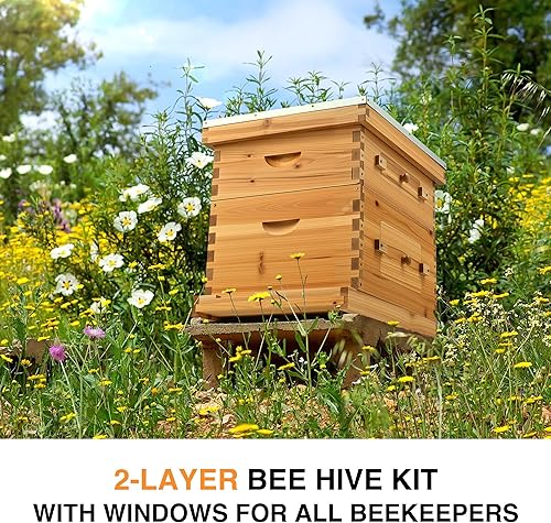 Miniatura 25 de CREWORKS Bee Hive Boxes Kit de iniciación, casa de abejas de 3 capas con 10 marcos y bases medianos y 20 profundos, colmena Langstroth