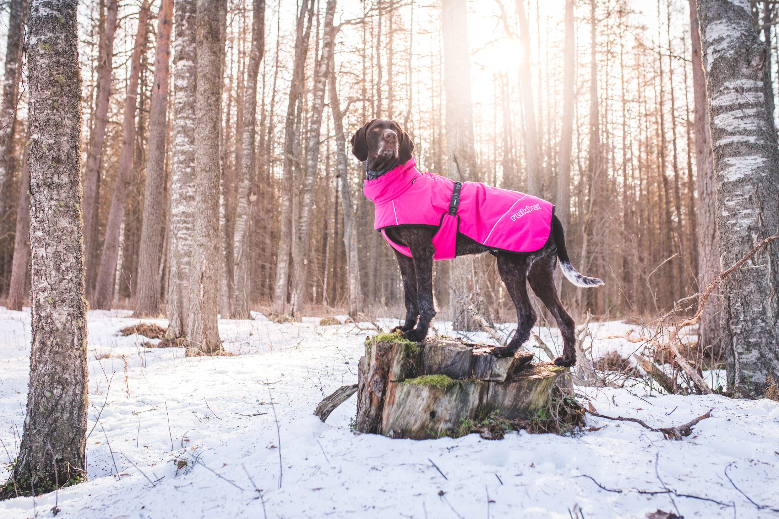 Rukka Pets Warmup Outdoor wiatroszczelna termiczna kurtka dla psa Hot Pink