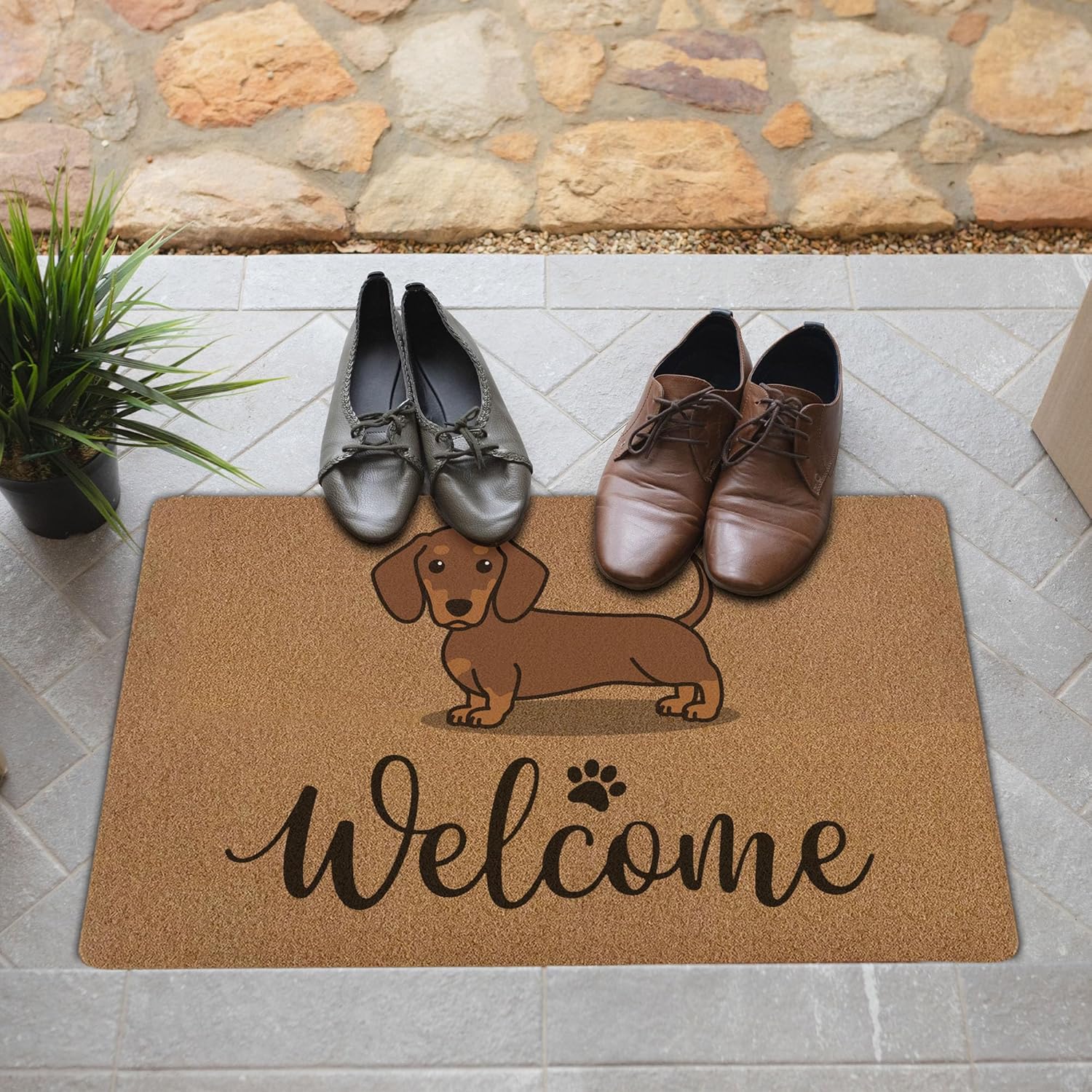 Funny Dachshund Door Mats, Funny Welcome Front Door Mat Indoor Outdoor Entrance, Dog Owner Gift Artificial Coir Doormat Rugs for Patio Entry Kitchen Decor, 17x30 Inch