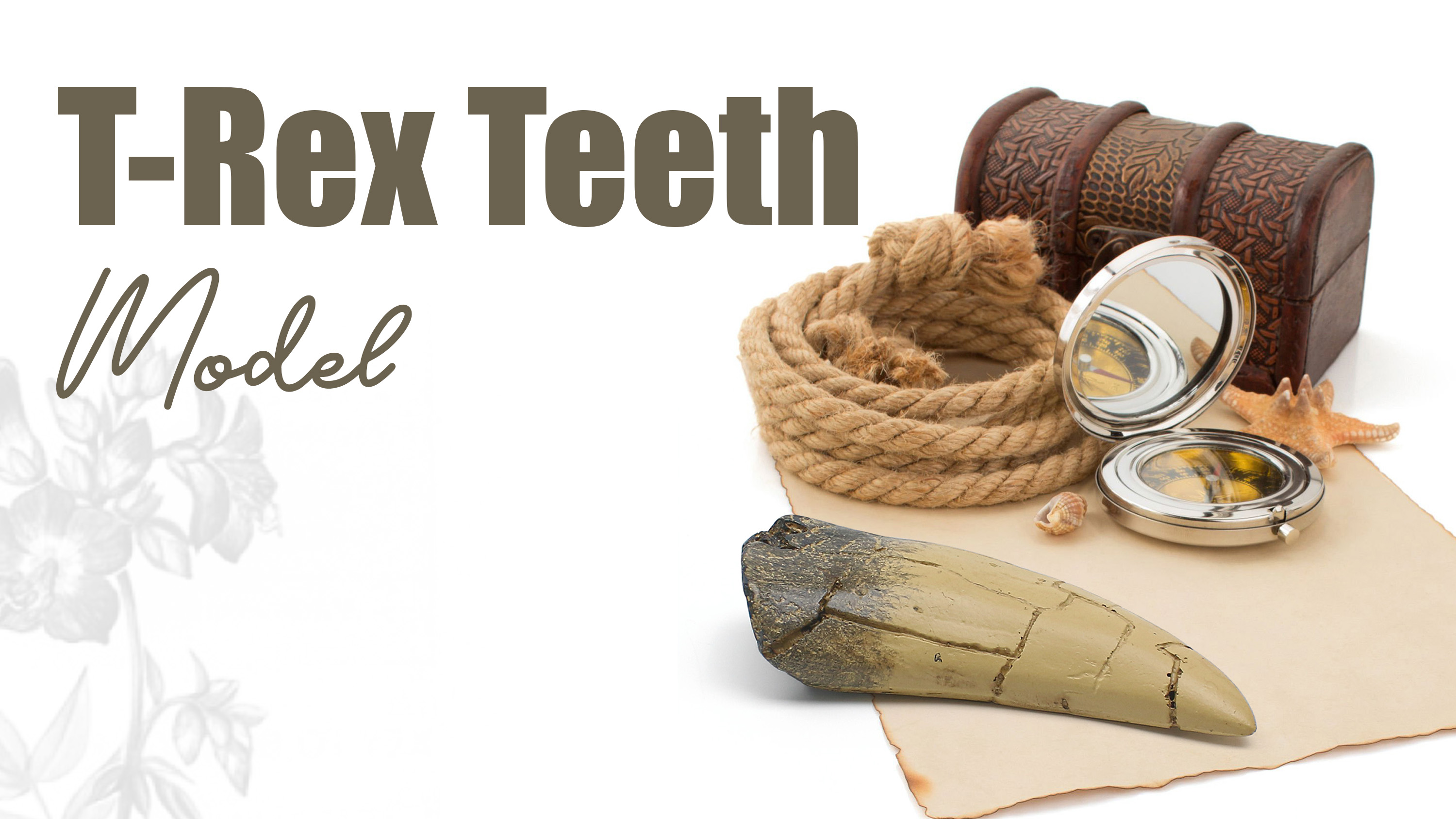 Image of T rex Tooth, Dinosaur Teeth, Resin Tyrannosaurus Toothy Direct Cast Replica, Mosasaurus Spinosaurus Trex Fossils Model for Necklace, Fossilized Various Prehistoric Dinosaurs High-Fidelity Replicas