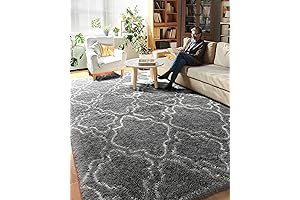 PAGISOFE: 8x5 Plush Shag Rug for Home Decor