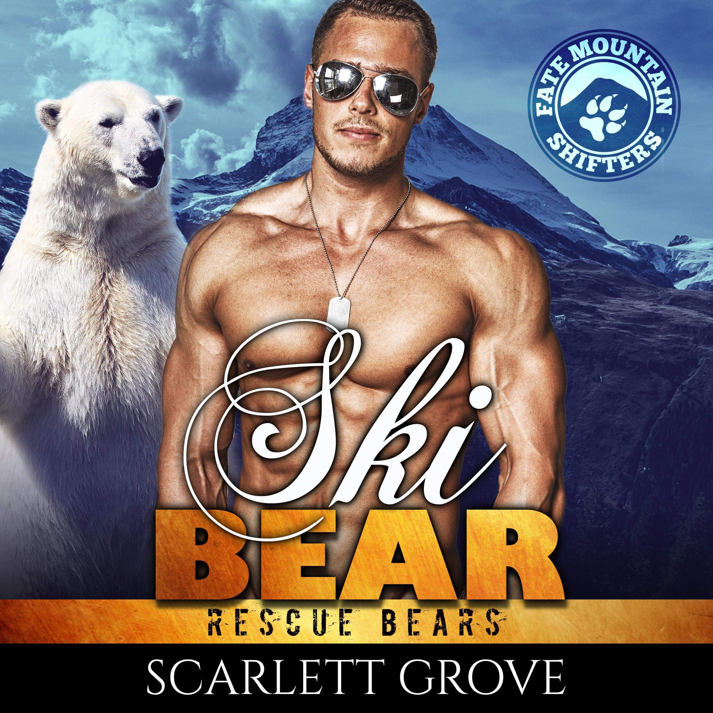 Cover art for Ski Bear