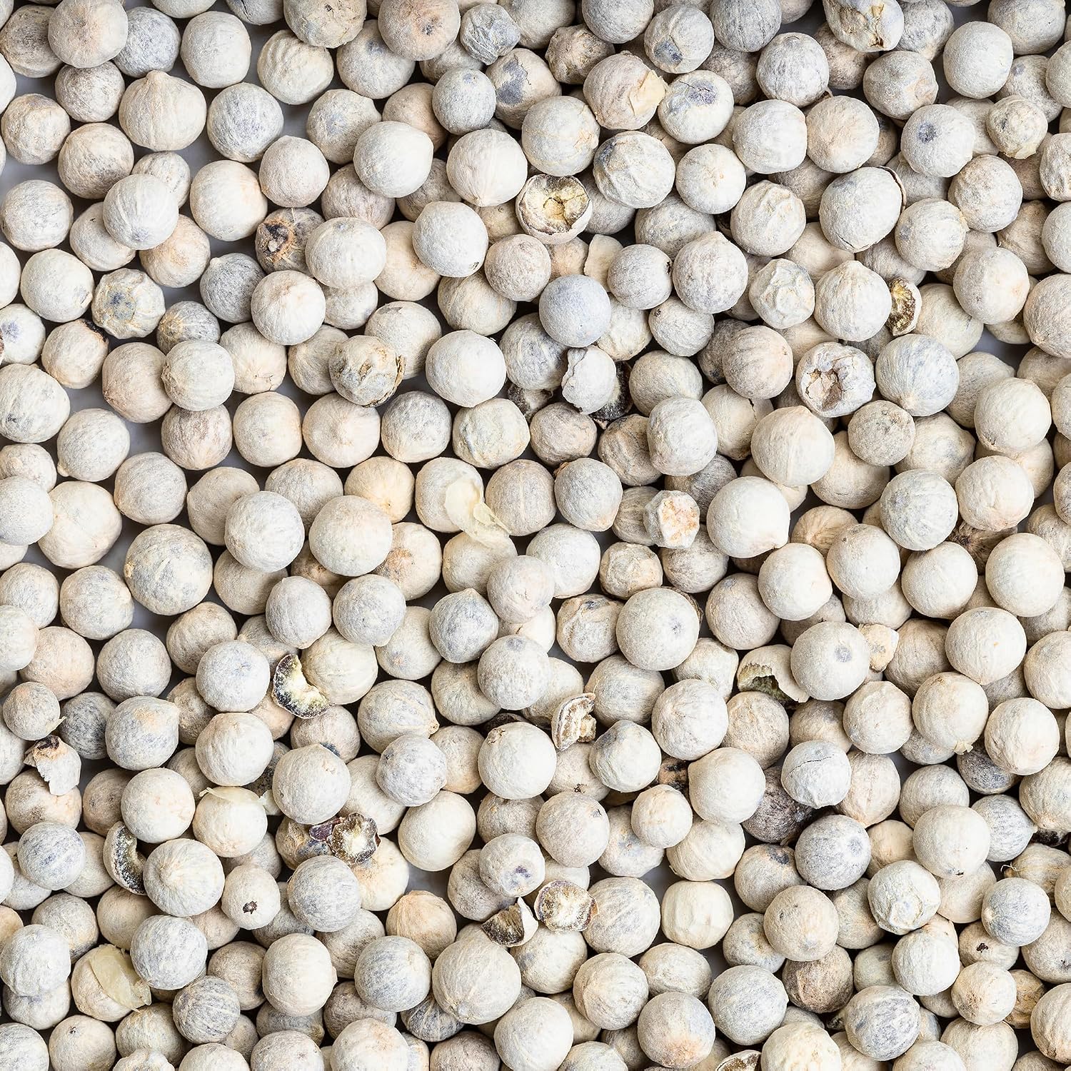 Earthborn Elements Whole White Peppercorns 1 Gallon Bucket, Mild Flavor, Bulk Size