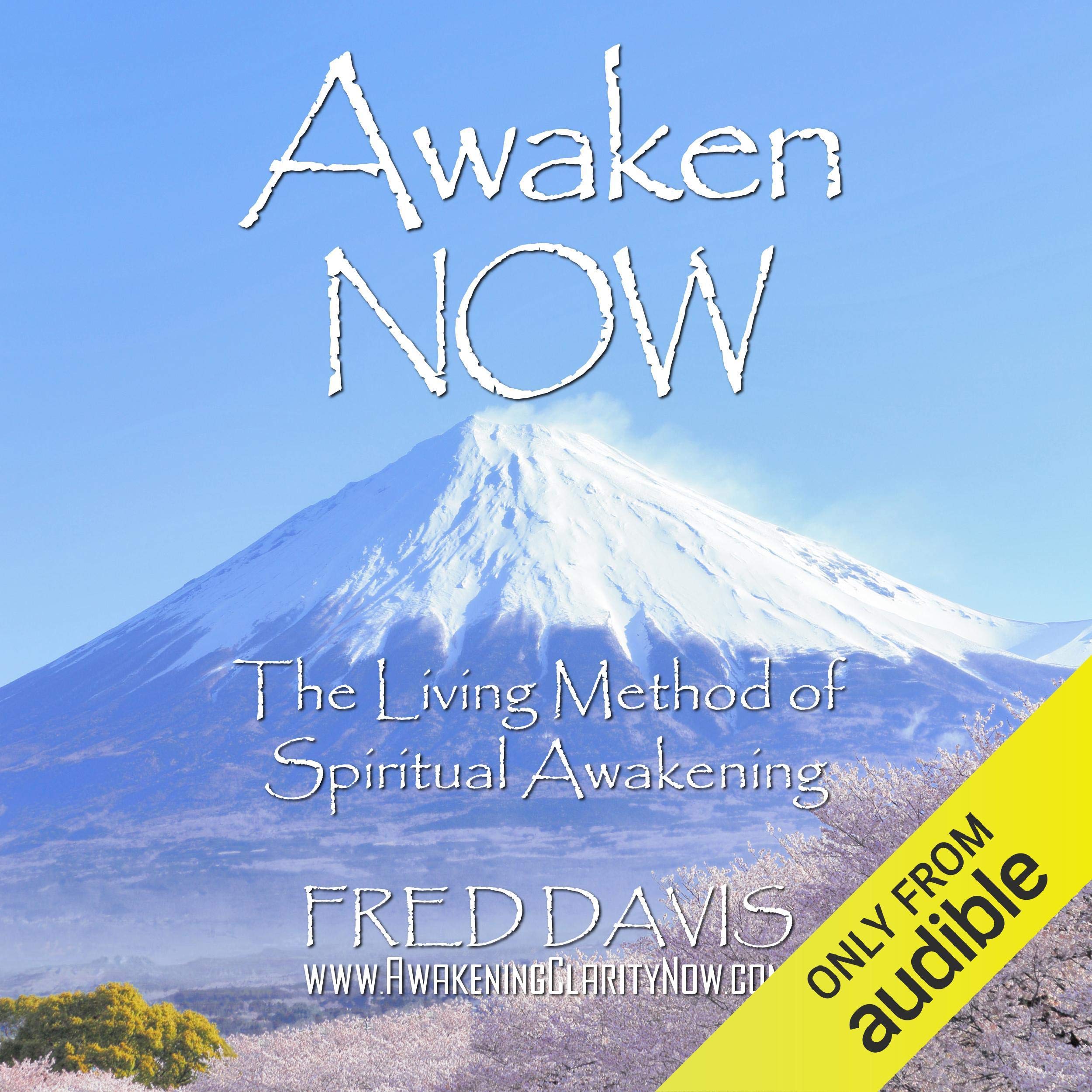 Cover art for Awaken NOW