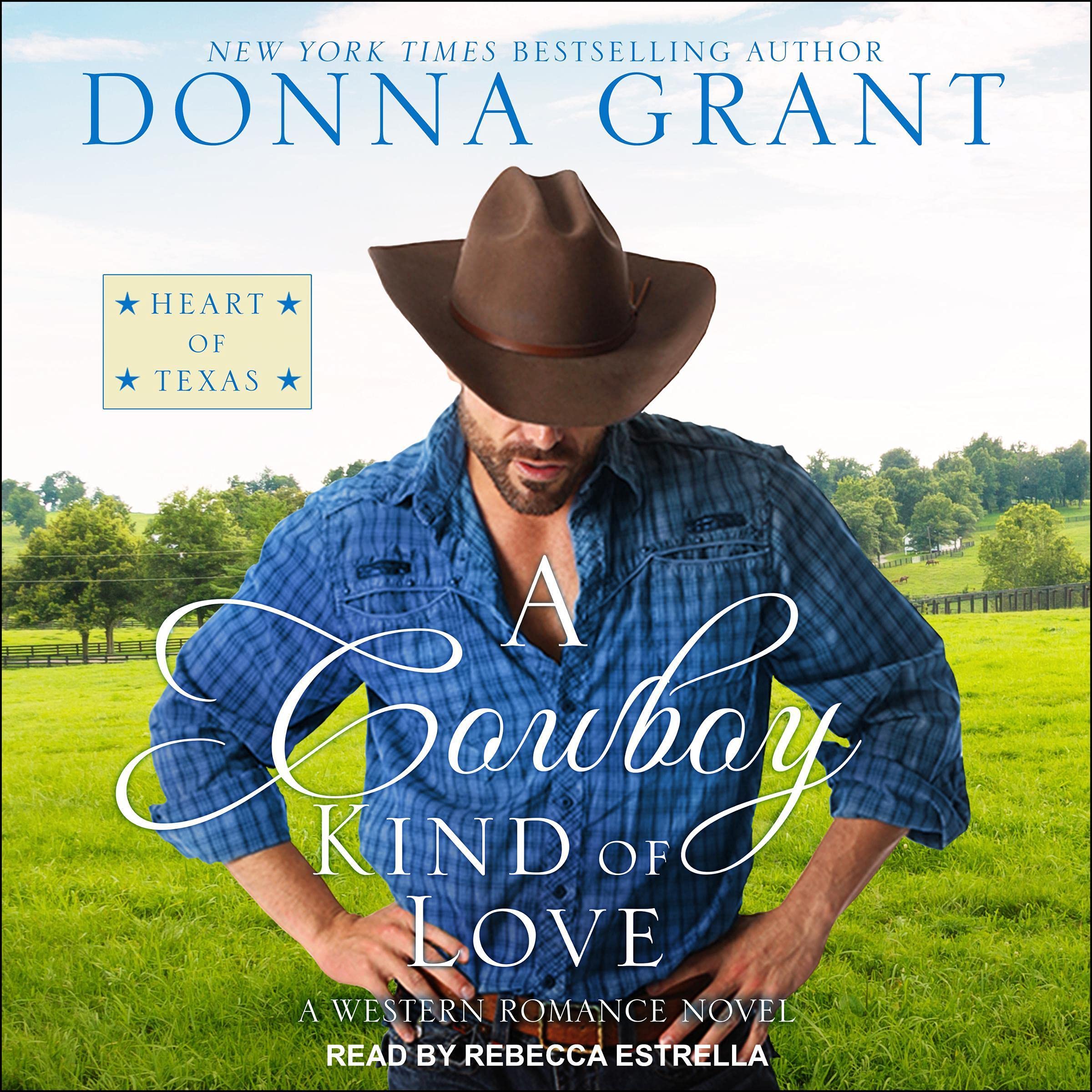 Cover art for A Cowboy Kind of Love