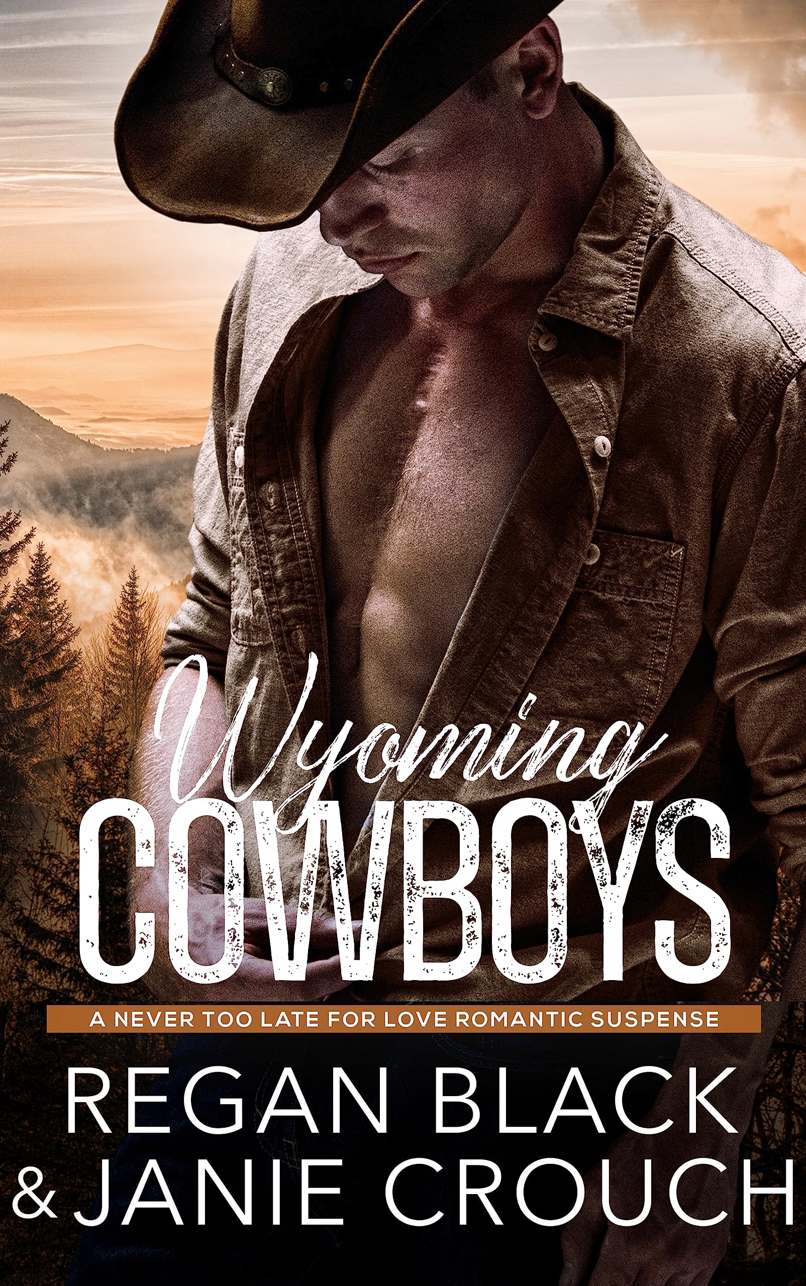 Wyoming Cowboys: (Never Too Late for Love Romantic Suspense)