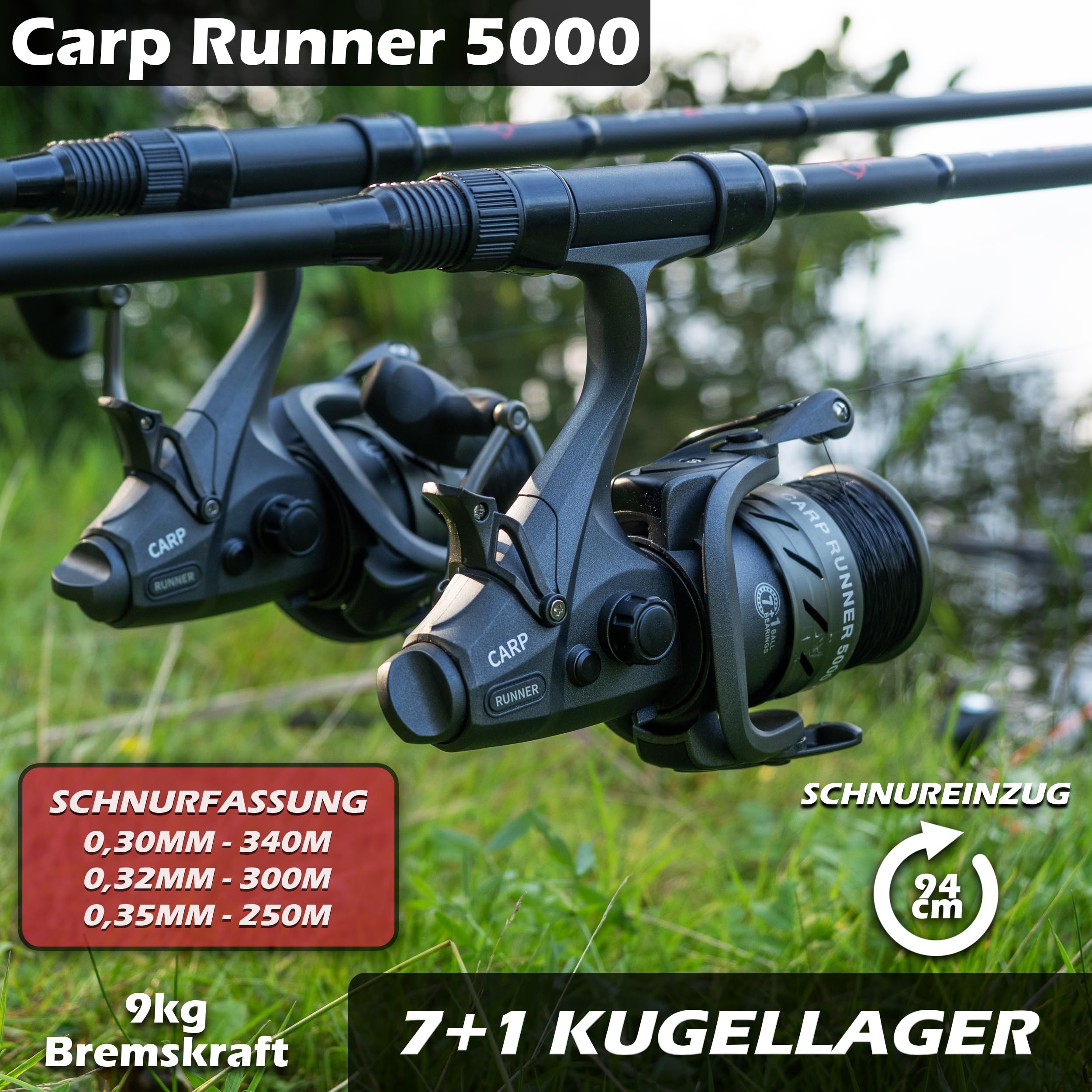 Paradox Fishing Karpfenrute CarpXpert 12ft 3,60m 3 LBS 3-teilig mit 5000 Carp Runner Karpfenrolle – Karpfen Angel Karpfen Rute