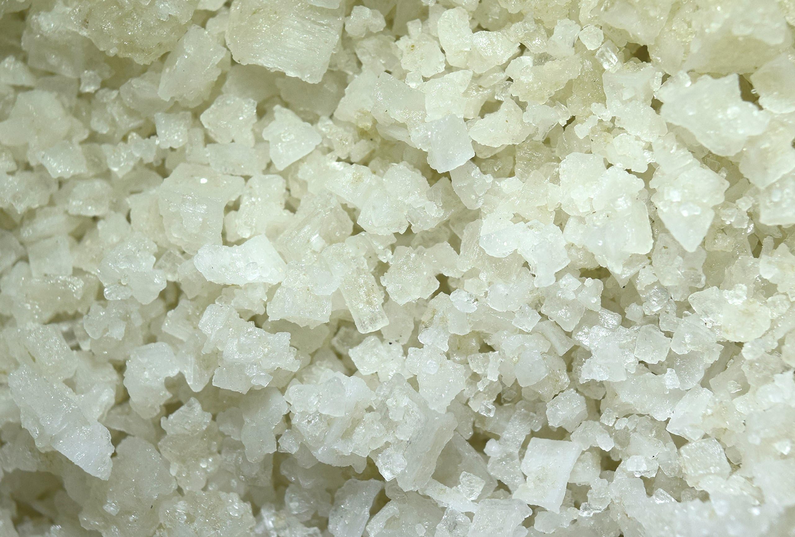 Celtic Sel Gris Gourmet French Grey Sea Salt (12oz - Coarse Grain) Premium Collection in Re-Sealable Refill Bag - Kosher and Non-GMO