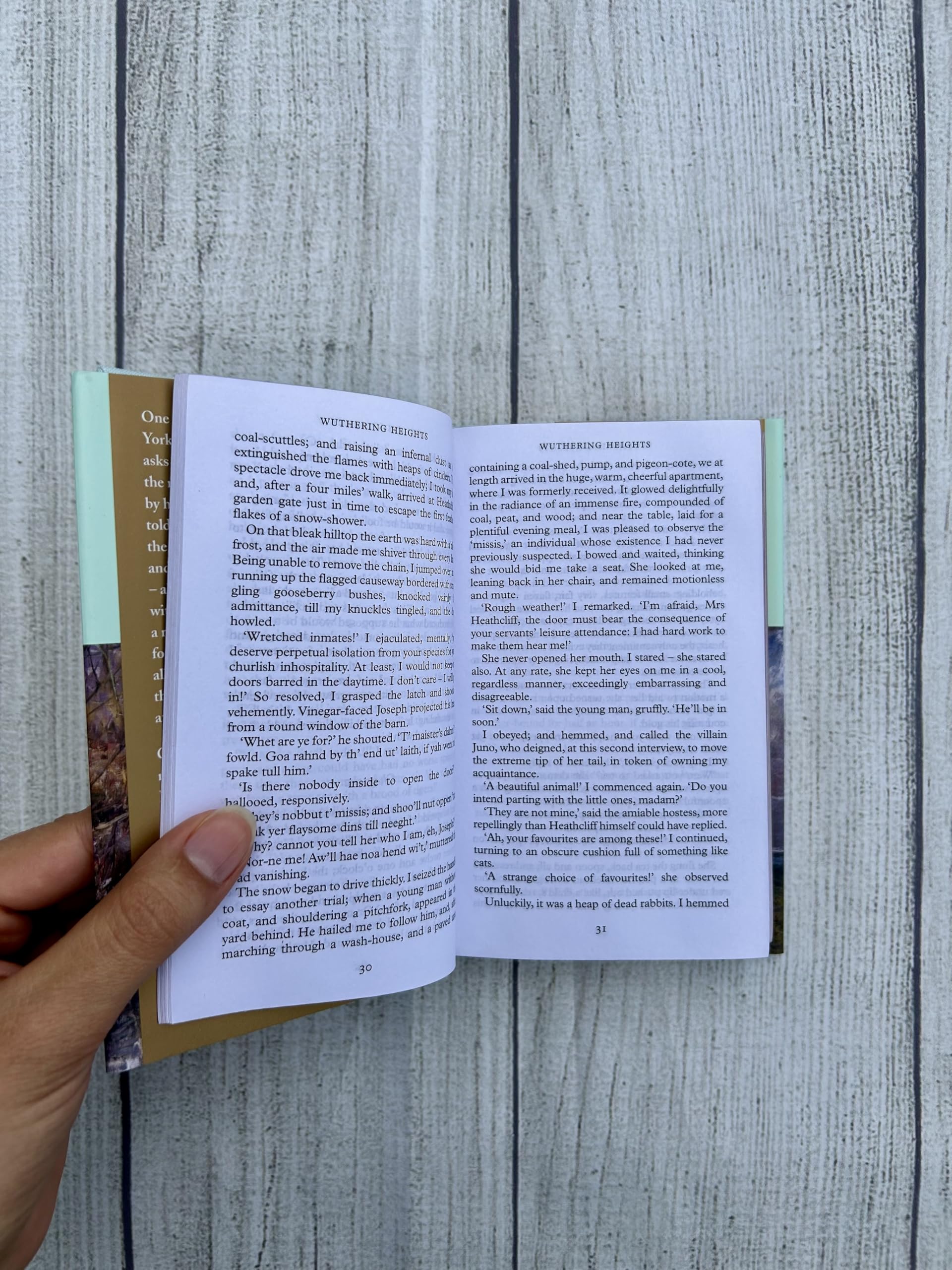 Wuthering Heights: Emily Bronte