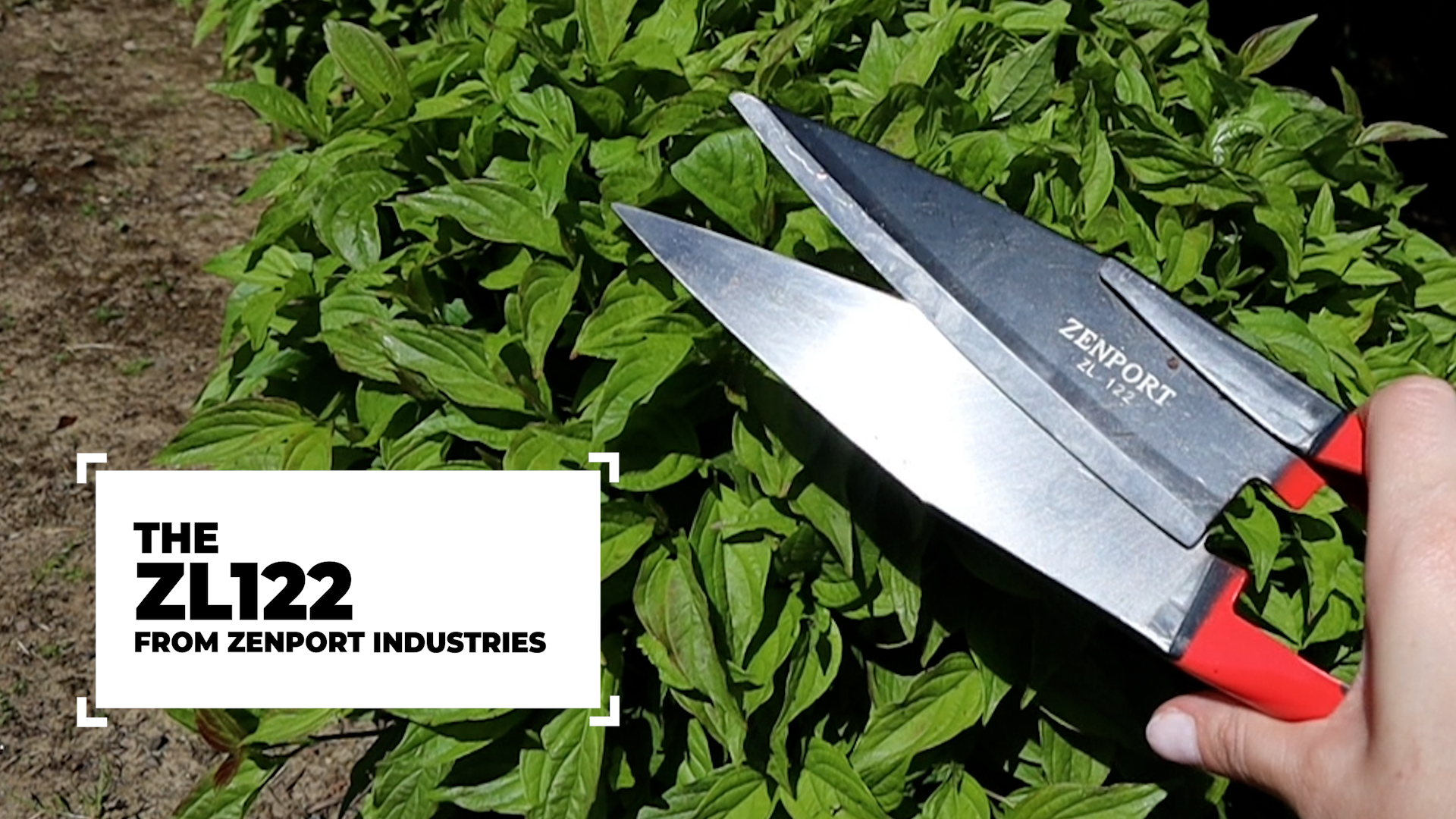 Amazon.com : Zenport ZL122 Heavy Duty Onion & Sheep Shears – 13
