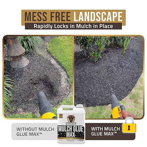 Miniatura 2 de Petra Tools - Pegamento de roca, carpeta de grava pequeña, adhesivo para paisaje, estabilizador de grava pequeña, pegamento para paisaje, pegamento