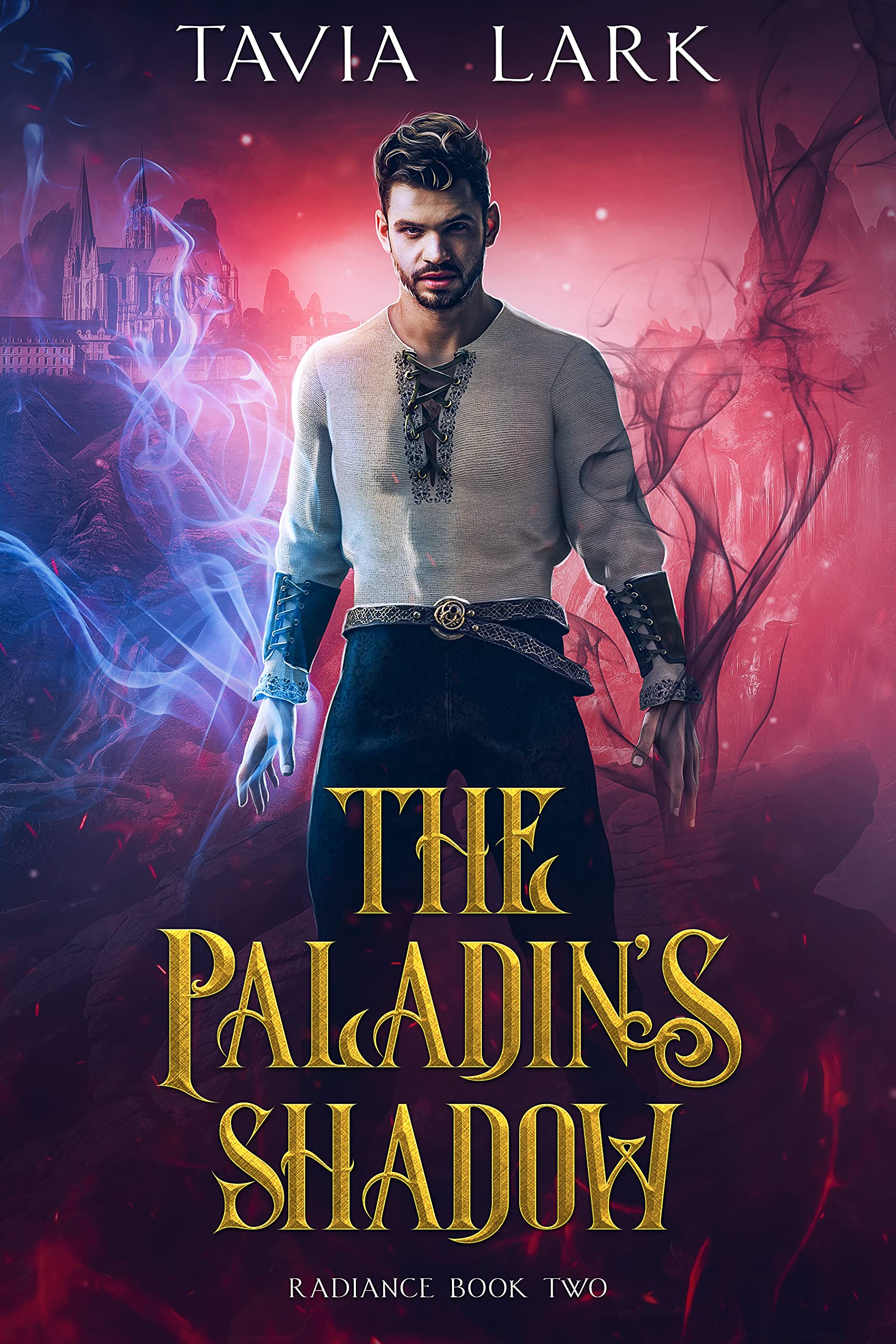 The Paladin's Shadow (Radiance Book 2)