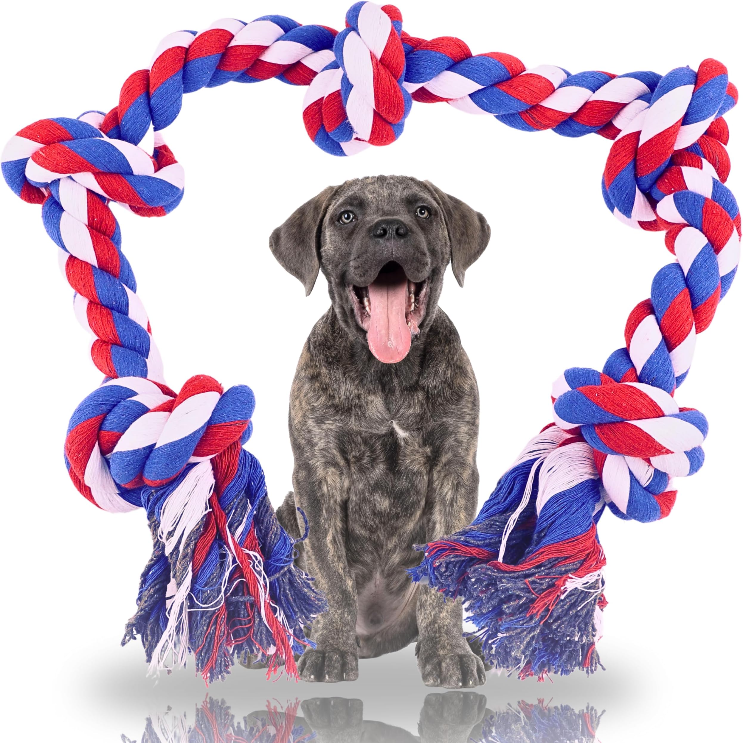 Pet Supplies : BEGA PET 38 in Dog Toys for Aggressive Chewers Medium ...