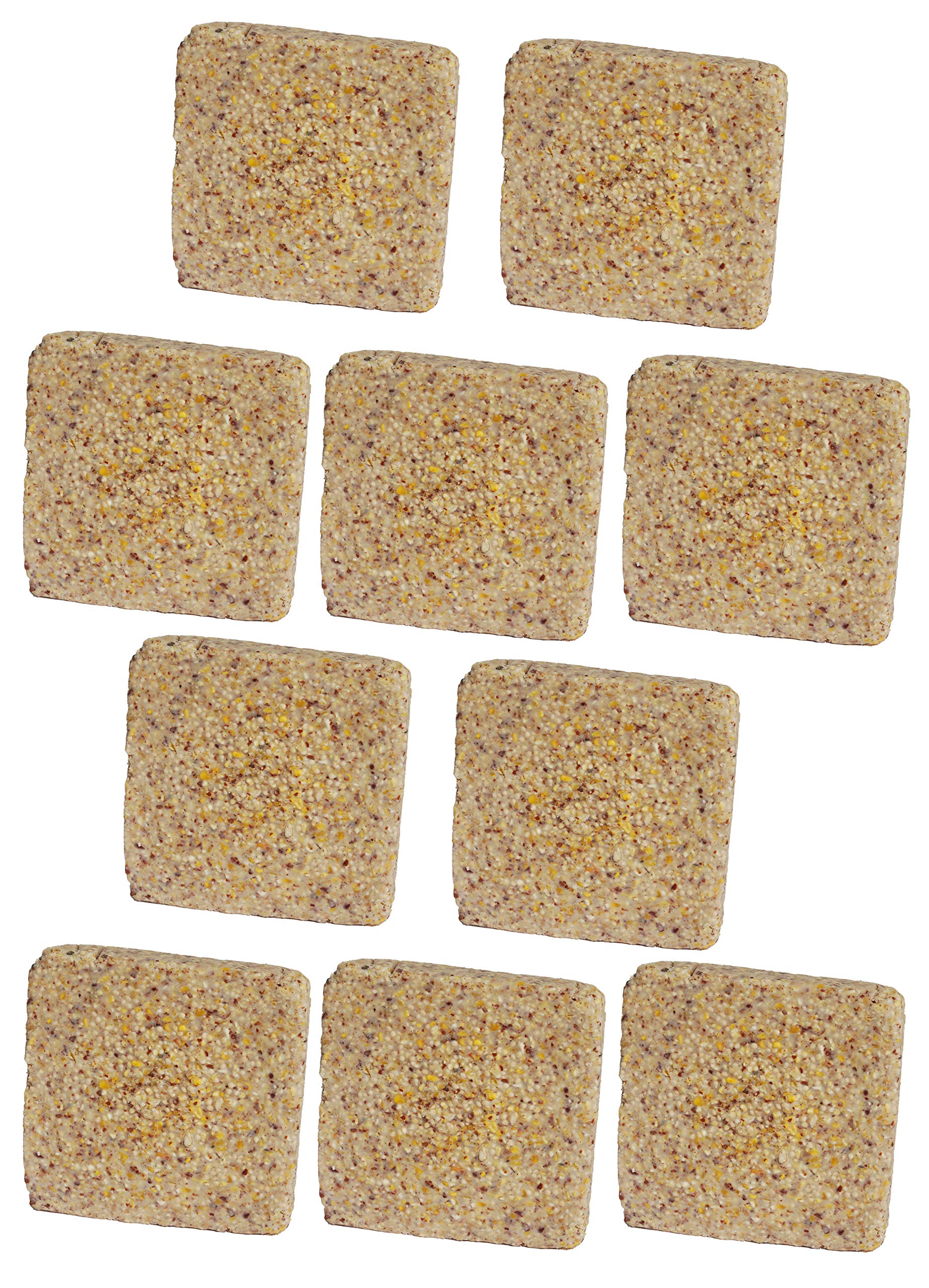 St. Albans Bay Suet Plus Variety Pack Peanut