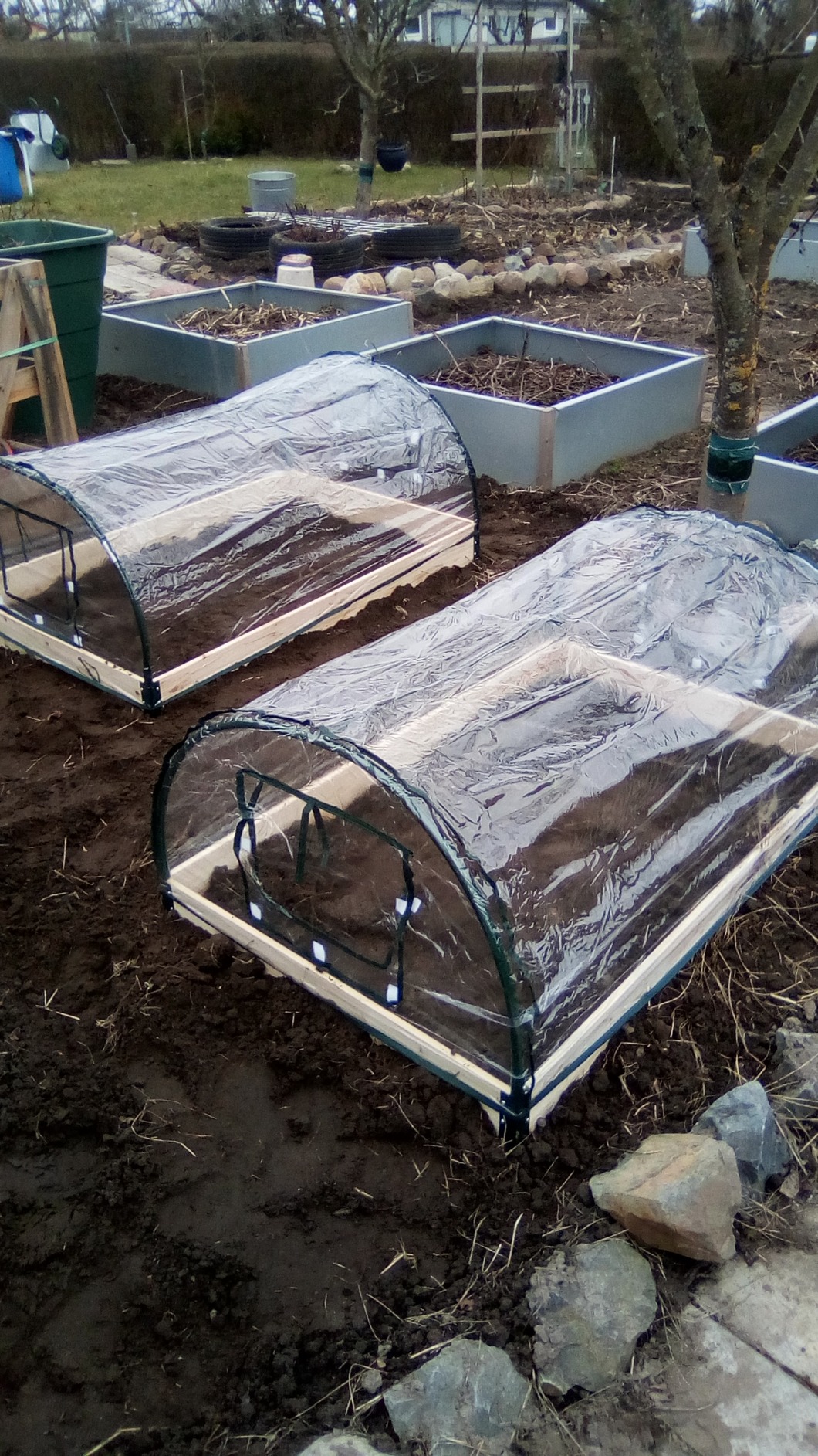 Mojawo XXL Frühbeet mit Holzrahmen 120 x 80 x 50 cm Gewächshaus