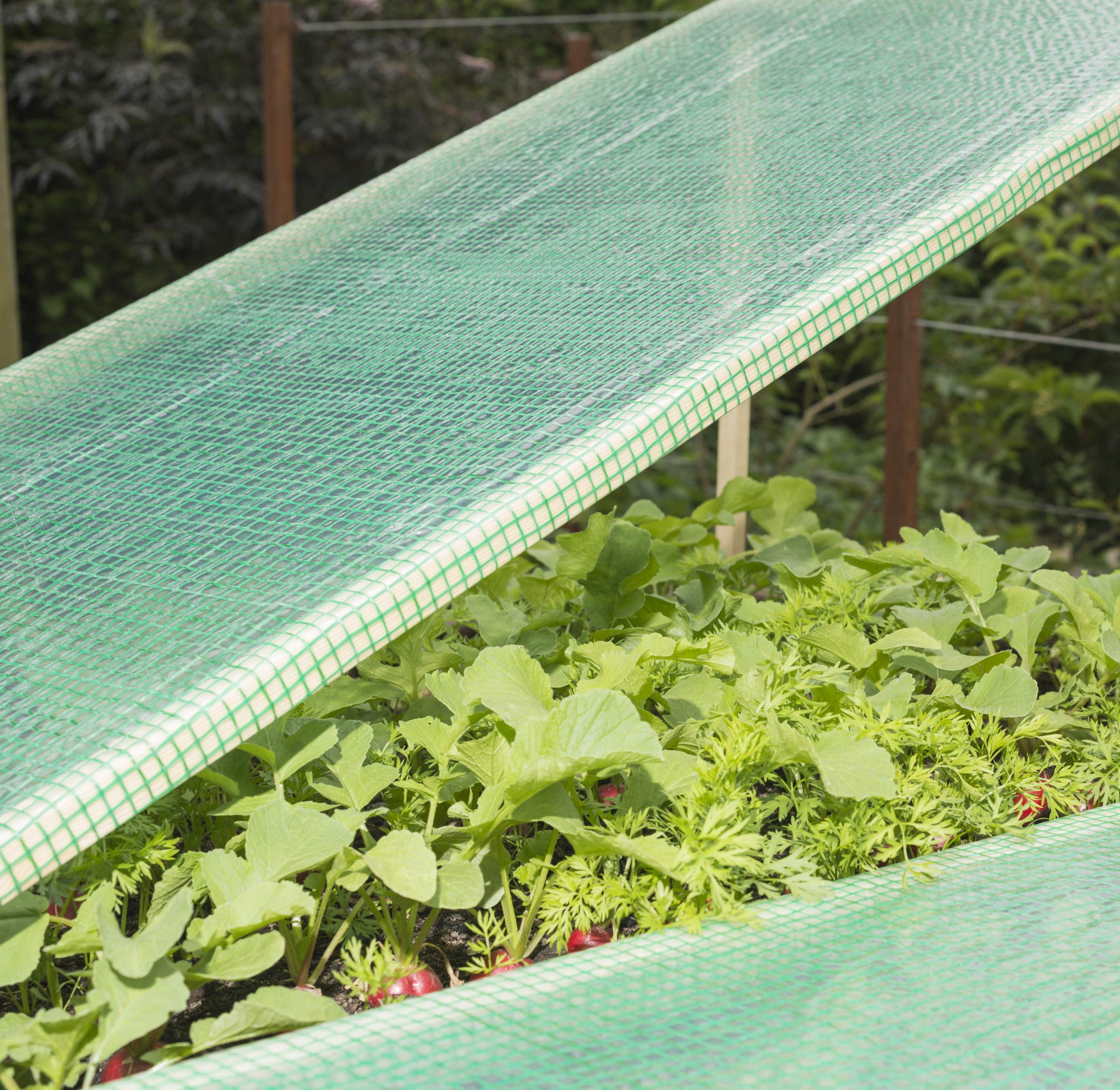 KAISER PLASTIC&reg; Pellicola A Griglia | 250 G/m&sup2; Xtra Strong