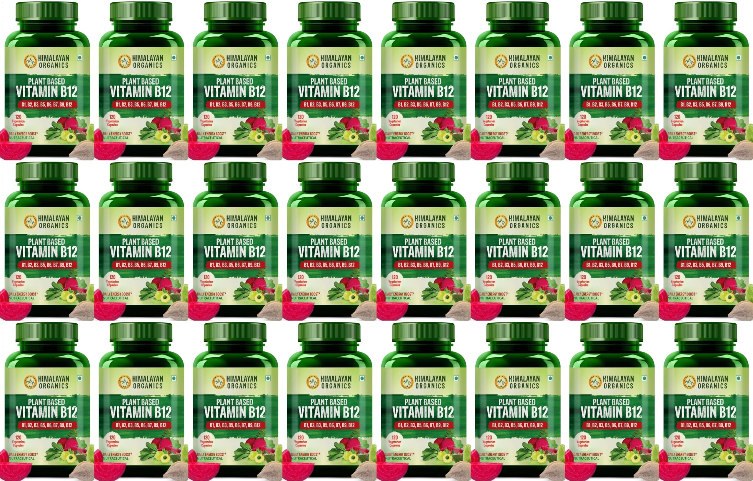 Himalayan Organics Plant Based Vitamin B-12 | Natural Wheat Grass Moringa Alfalfa | Boost Energy Level | Good For Nervous System & Brain Function -120 Veg Capsules x Pack of 24 (B0CZTVQ8QZ) Amazon Price History, Amazon Price Tracker