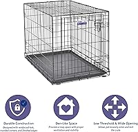 Vista 42 de Midwest iCrate Jaula para perro 30 x 19 x 21pulgadas