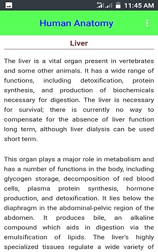 Human Anatomy
