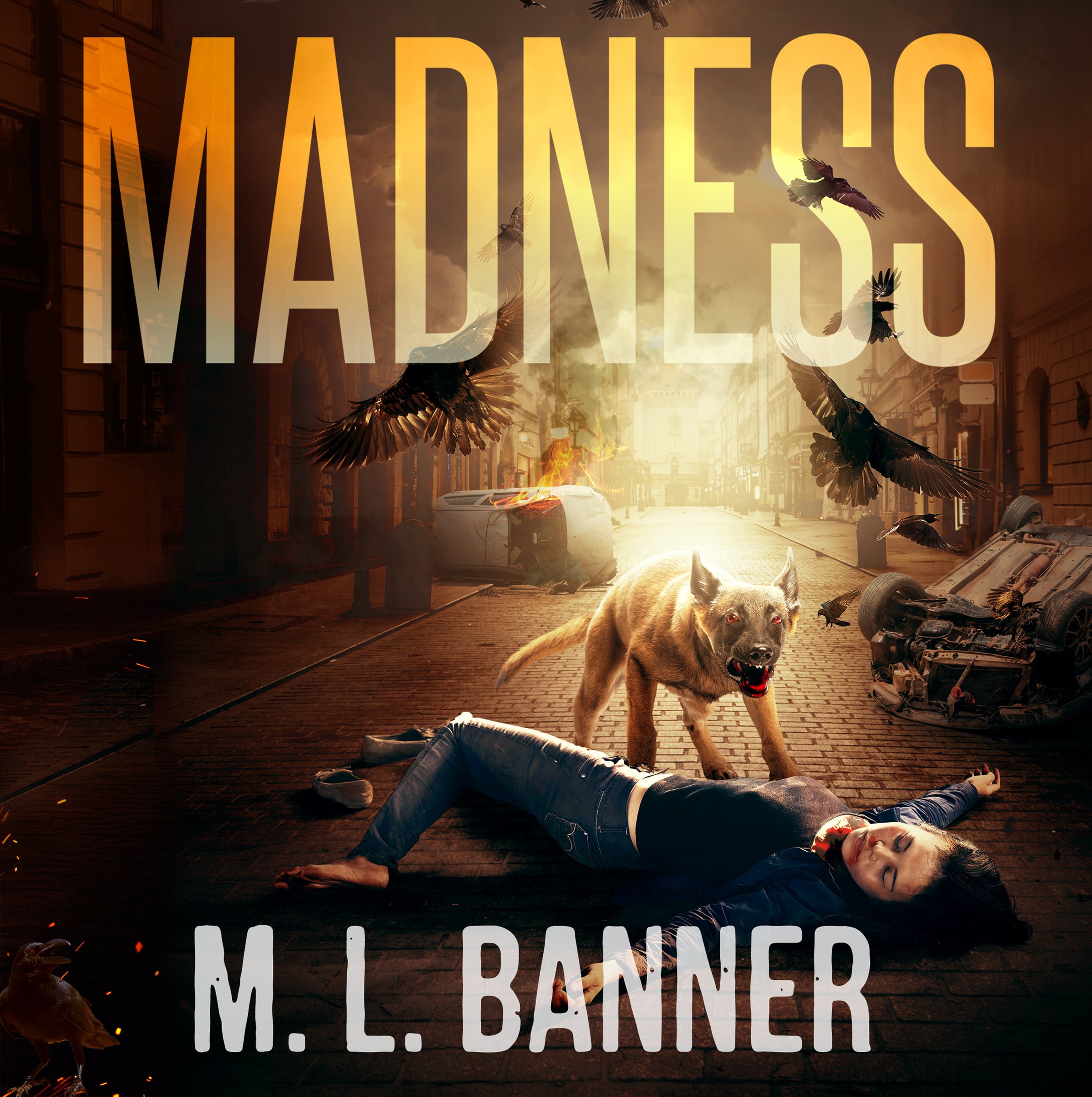 Cover art for Madness: Madness Chronicles, Book 1