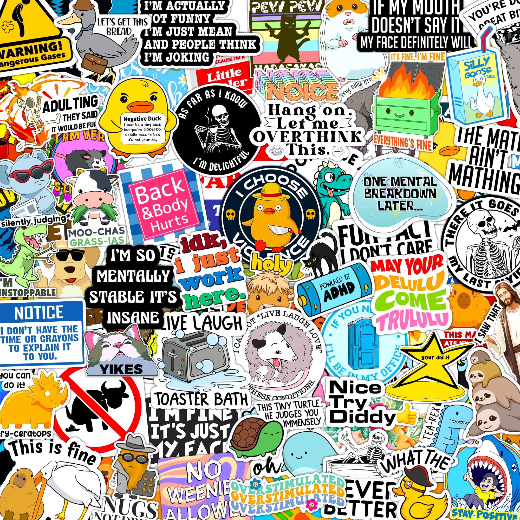 300 Pcs Funny Stickers for Adults Meme Water Bottles Decals Pack Waterproof Cool Sticker for Laptop, Bumper, Phone, Hard Hats, Sarcastic, Scrapbooking