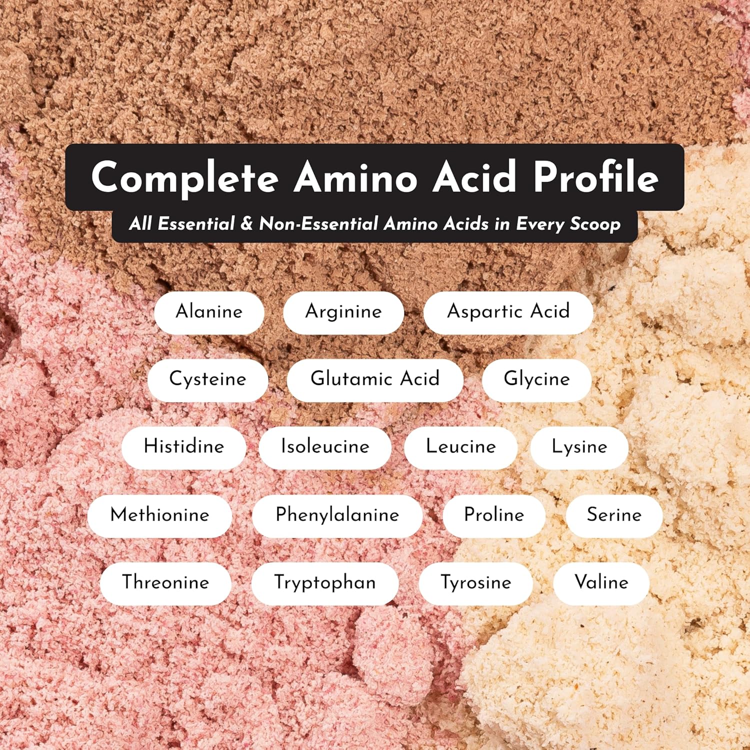 Mint Chocolate Protein Powder | 15 Servings | 24g Grass-Fed New Zealand Whey + 4 Additional Protein Sources | No Added Sugar | Naturally Sweetened | No Gums or Fillers | Casein-Free Blend - Image 7