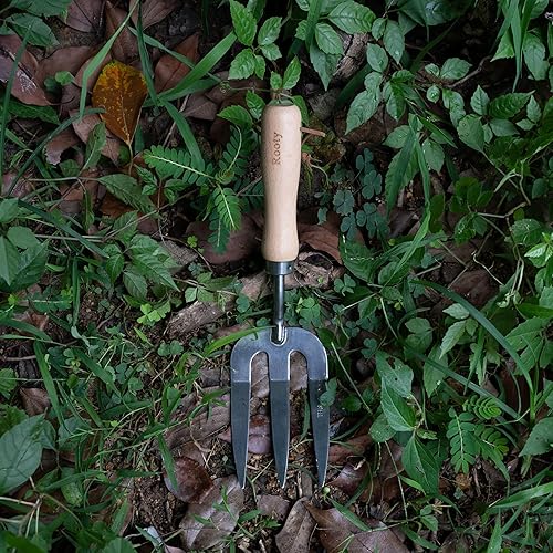 Miniatura 4 de Rooty Tenedor de mano de jardín con acero inoxidable, mango de madera, fácil para plantar, extender mantillo, boda, aflojar y trasplantar resistente