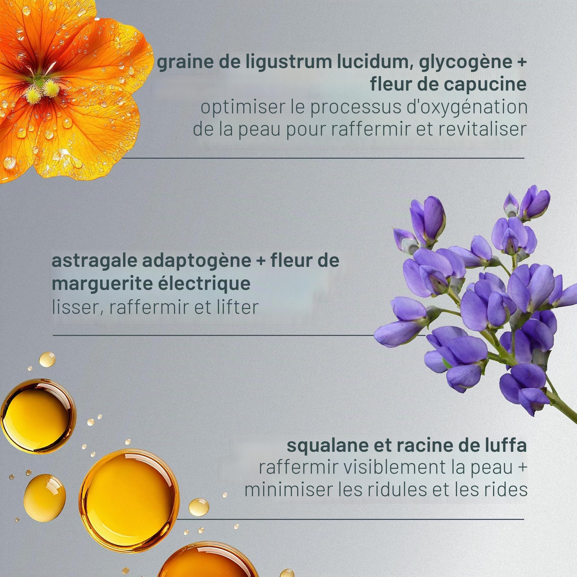 Dermalogica Phyto Nature Oxygen Cream 50ml | Soin hydratant léger qui raffermit, repulpe et redonne de l'énergie aux peaux matures pour un éclat retrouvé.