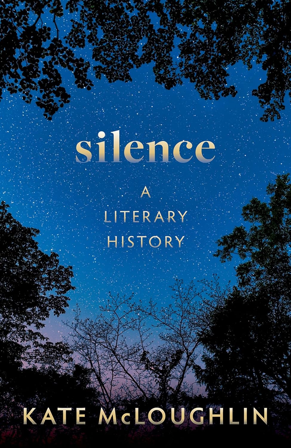 Silence: A Literary History      Kindle Edition