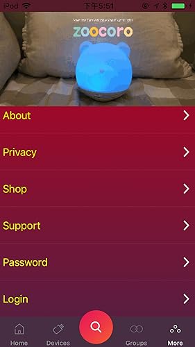 PLAYBULB X