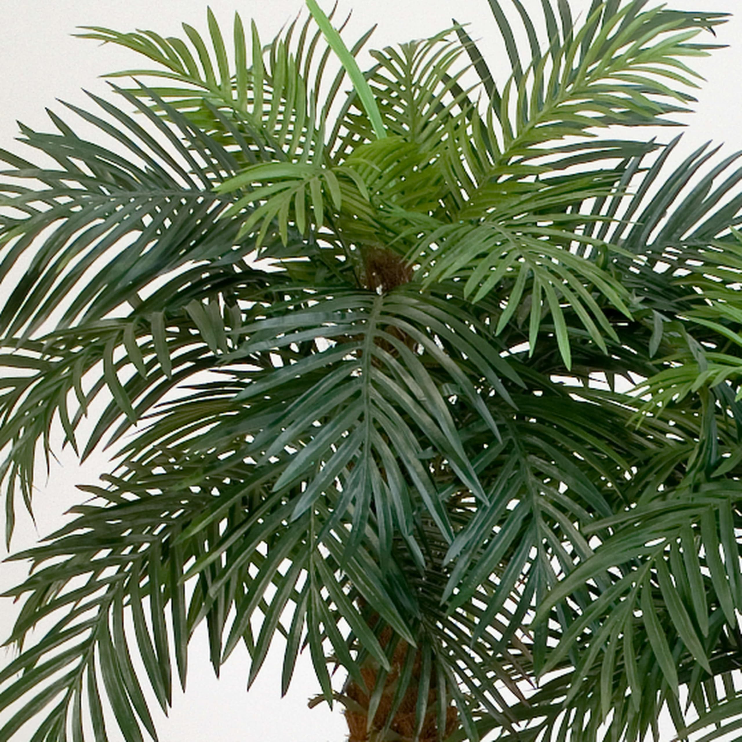 artplants.de Palmera fénix Artificial con 28 frondas, 180cm
