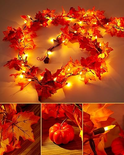 Miniatura 12 de VCOKEN Decoraciones de Acción de Gracias, Guirnalda de Otoño con Luces, 24LED Luces de Acción de Gracias Operadas con Batería con Temporizador,