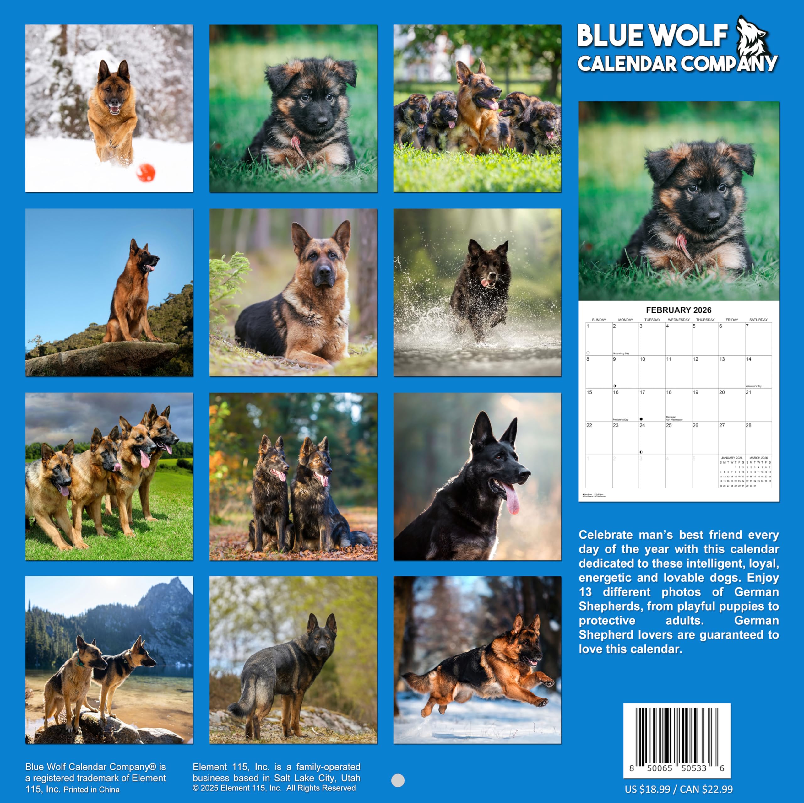 2025 German Shepherds Monthly Wall Calendar - Image 2