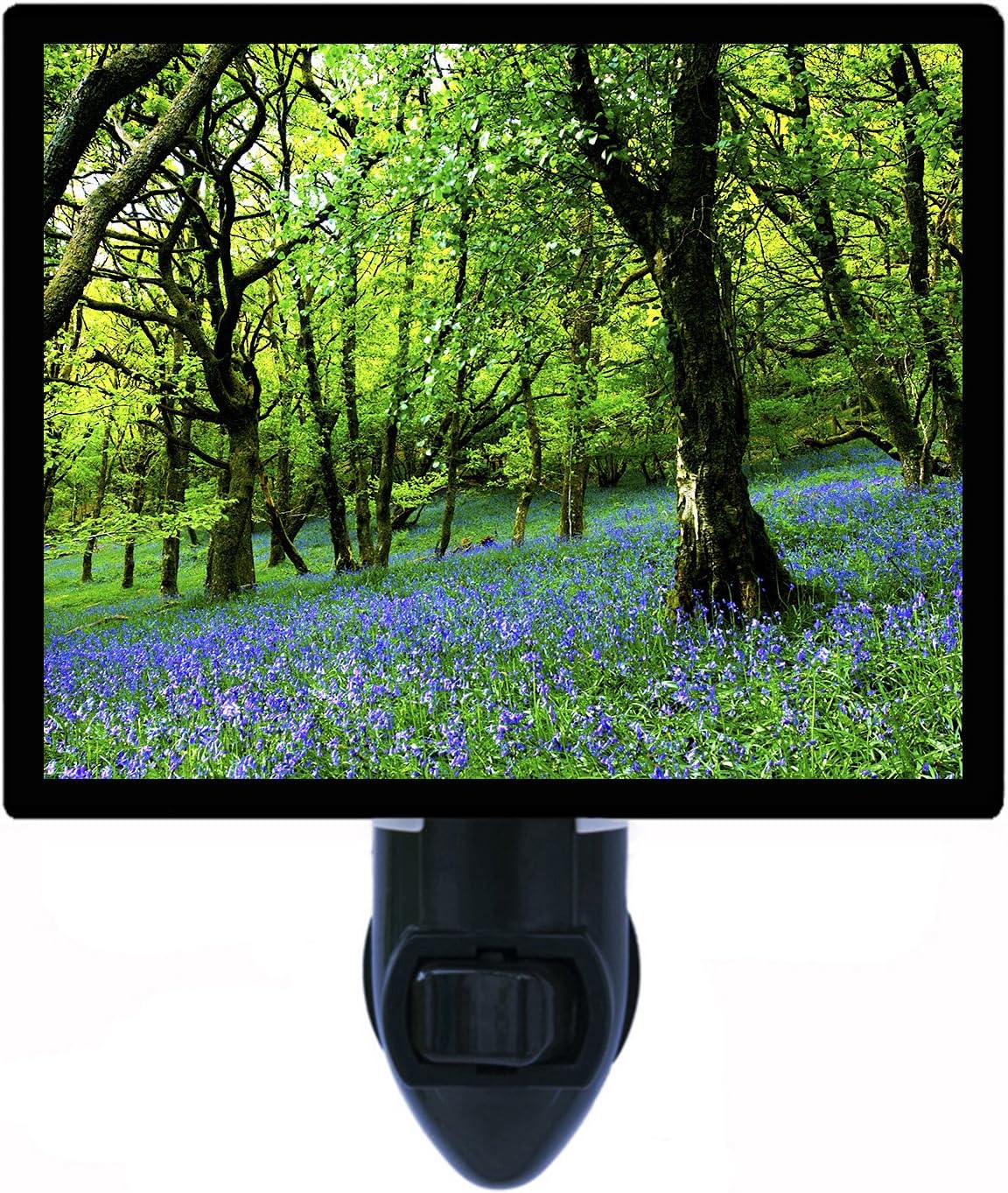 Night Light, Bluebell Fairyland, Flower and Garden, Landscape, Trees, Forest