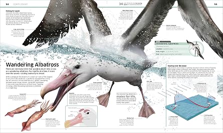 Knowledge Encyclopedia Ocean!