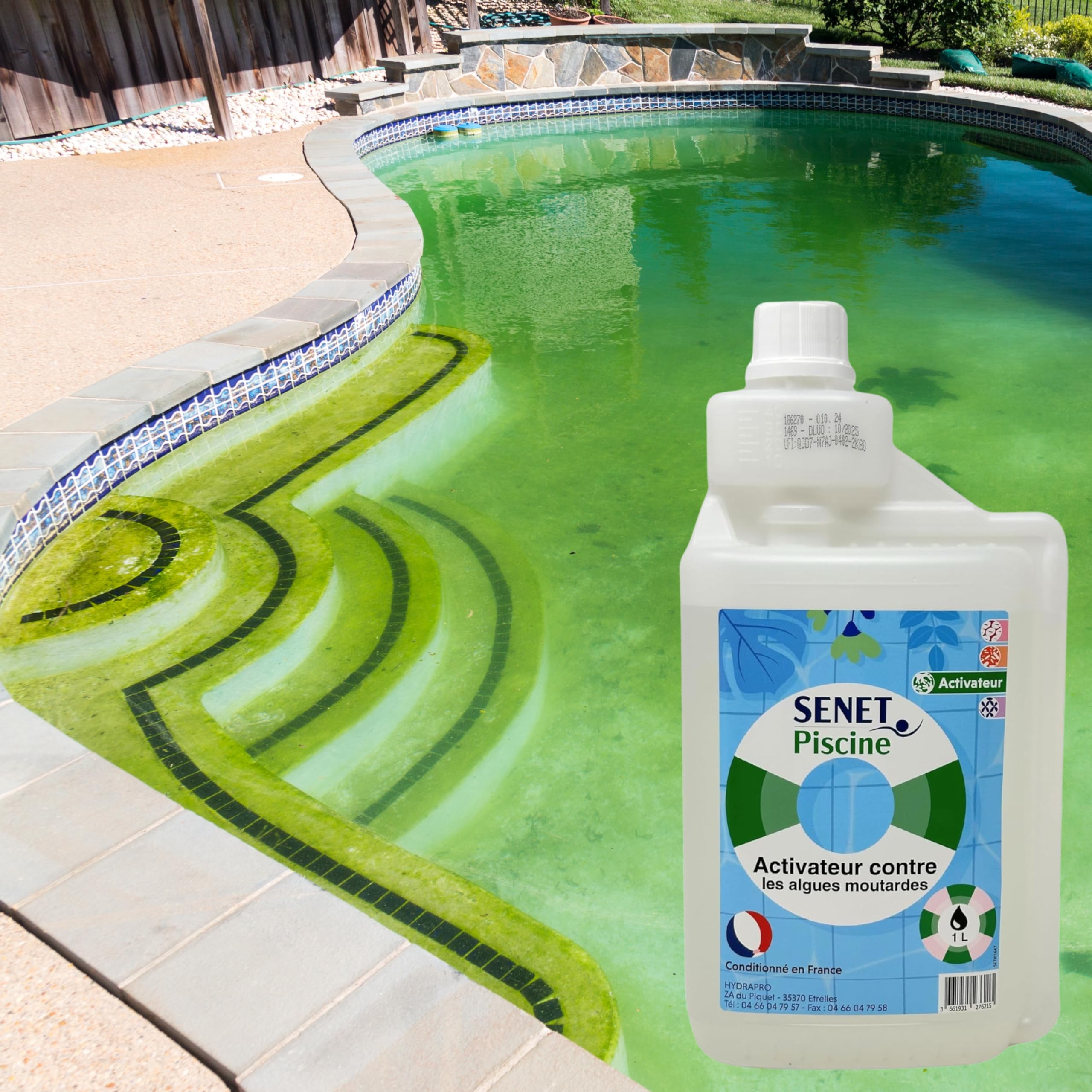 Activateur Efficace Contre Les Algues Moutardes pour Piscines - Compatible avec Traitement au Chlore, 1L - Conditionné en France
