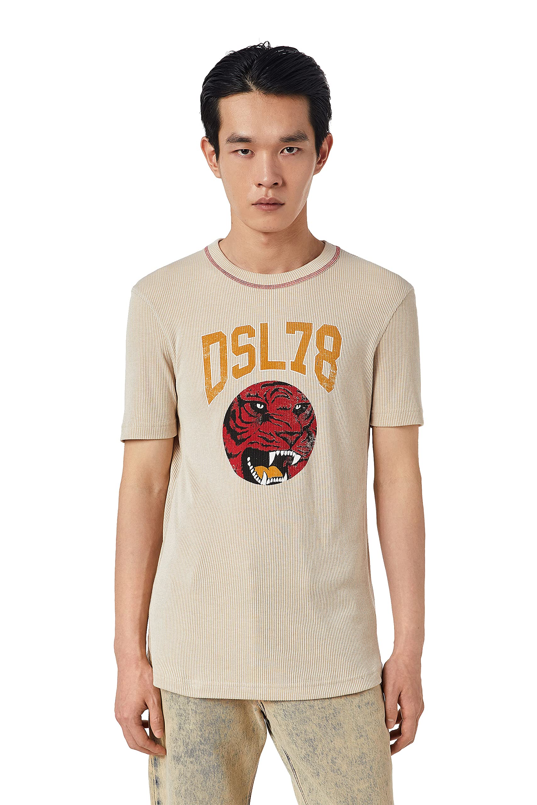 DieselDSL78 Maglietta Logo Adulto Unisex (S) (Beige)