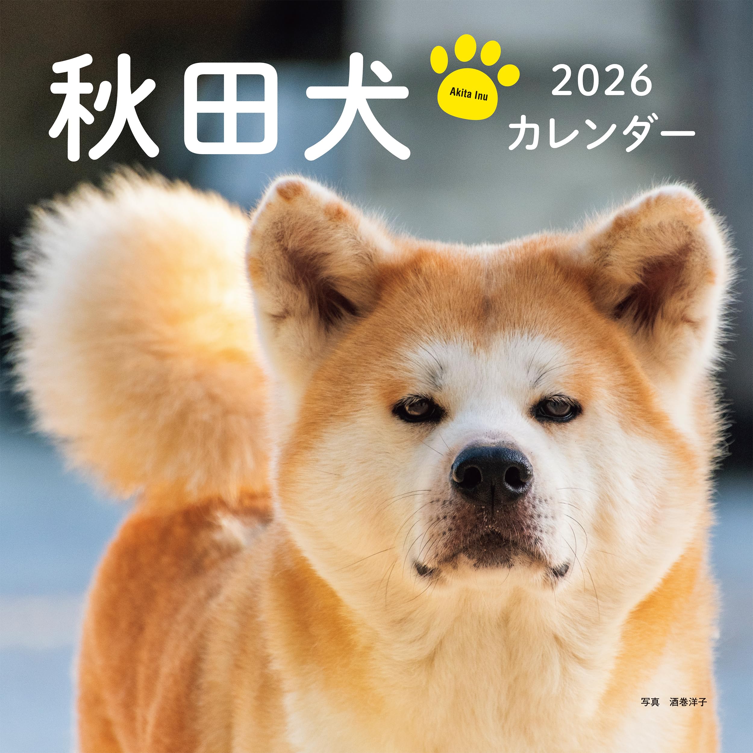 ☆秋田犬さま専用です☆ 91fW95IwA9L.jpg