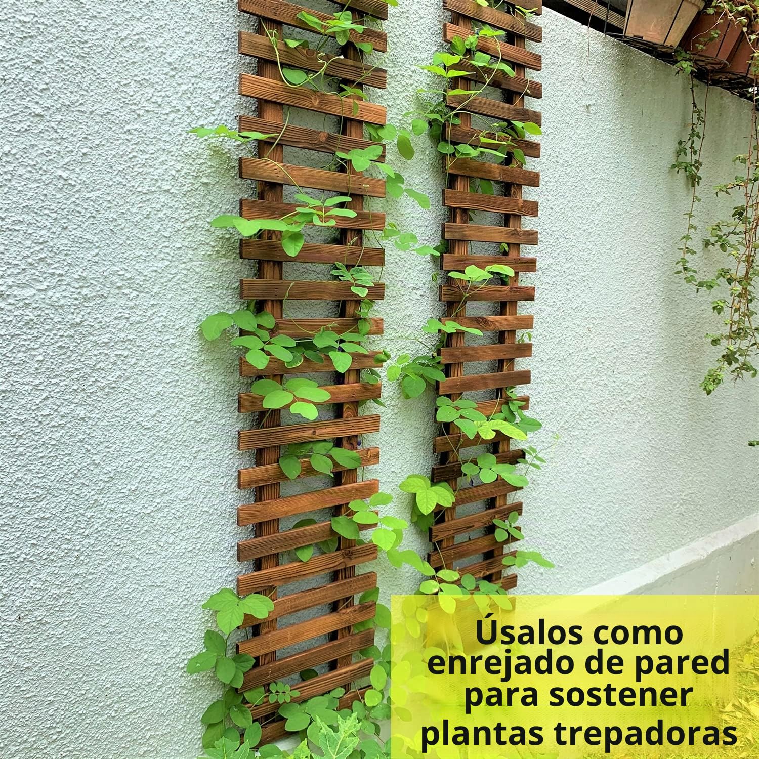 ShopLaLa Soporte de Pared para Plantas - Macetas Colgantes para Interiores y Exteriores