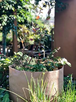 SMART POT 20-Gallon Soft-Sided Container, Tan (Pack of 3)