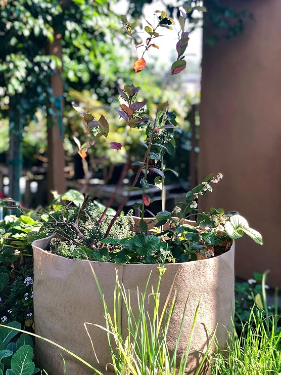 SMART POT 20-Gallon Soft-Sided Container, Tan (Pack of 3)
