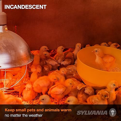 Miniatura 4 de SYLVANIA Brooder Bombilla de lámpara de calor, BR40, 125W (15451)