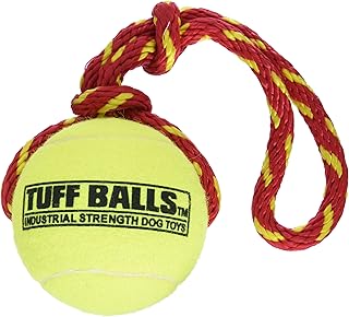 PetSport Giant Fling Thing Dog Toy, 4-Inch