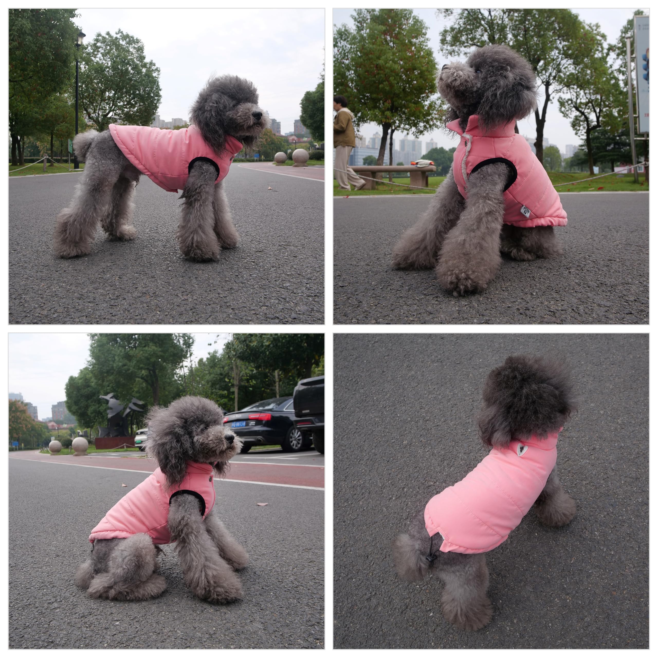 Lovelonglong Waterproof Fleece-Lined Winter Vest for Dogs Button Style Dog Warm Coats Pink L - Image 4