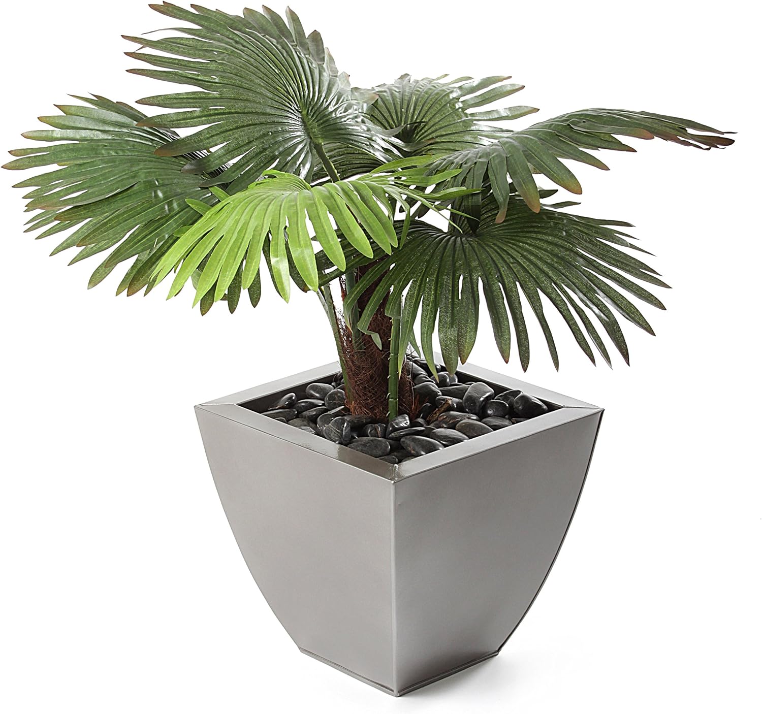 Closer2Nature Artificial 2ft Windmill Fan Palm Tree