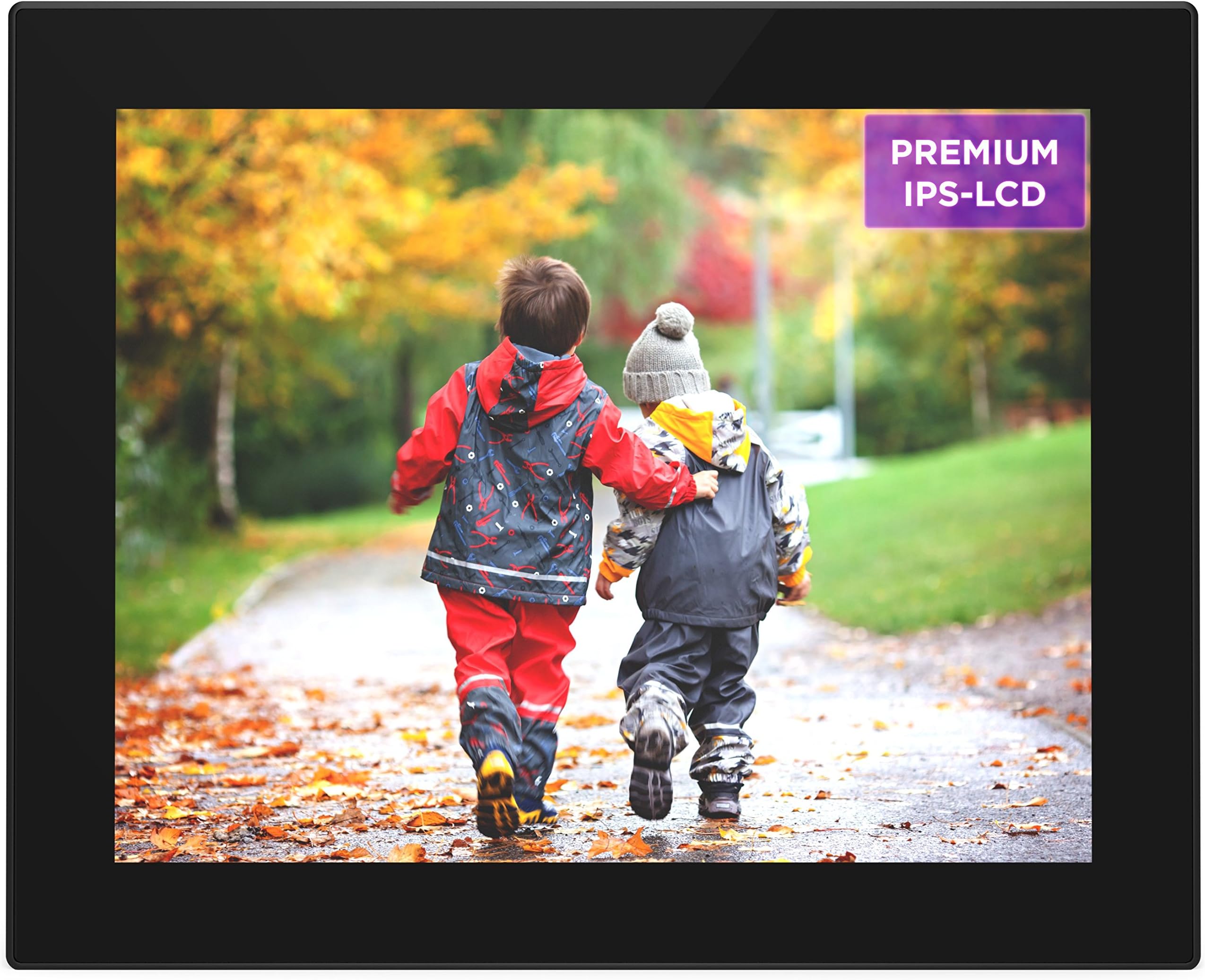 Ever Frames 10 inch Hi-Res Digital Picture Frame with 16 GB Memory (V10)