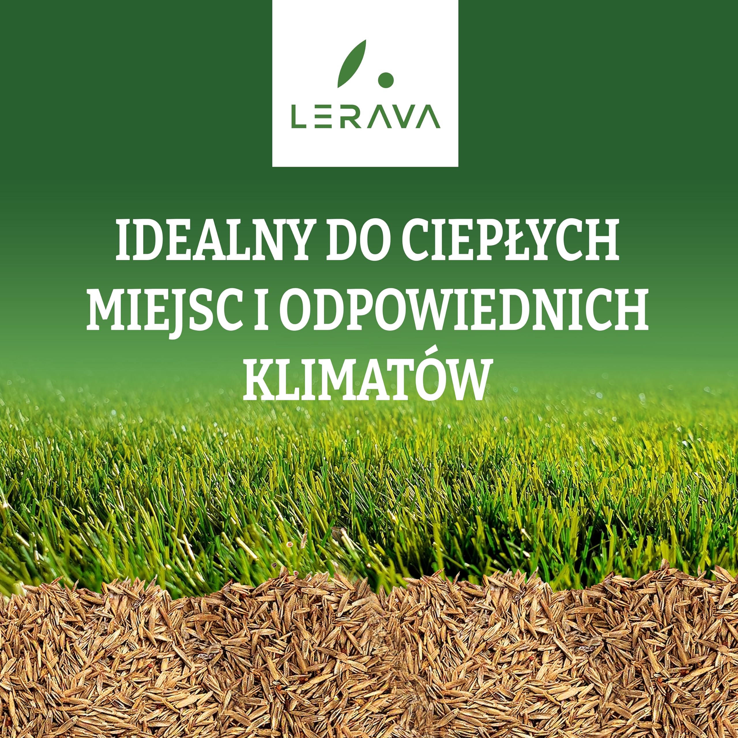 LERAVA Champion Nasiona Trawy odporne na suszę 30m² - trawnik o niskim zapotrzebowaniu na wodę - wytrzymały na deptanie - odpowiedni do wszystkich rodzajów gleby